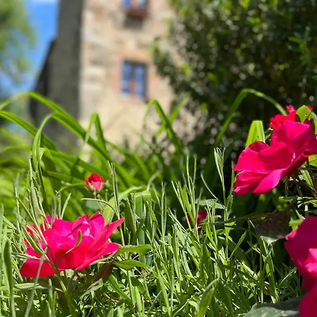 Apartment Mulino In Chianti *