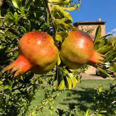 Mulino In Chianti Appartement *
