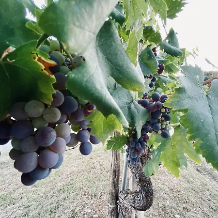 Appartement Mulino In Chianti *