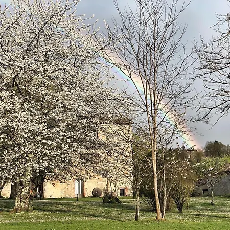 Appartement Mulino In Chianti Gaiole in Chianti