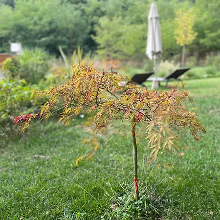 Mulino In Chianti Appartement