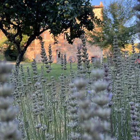 Apartament Mulino In Chianti Gaiole in Chianti