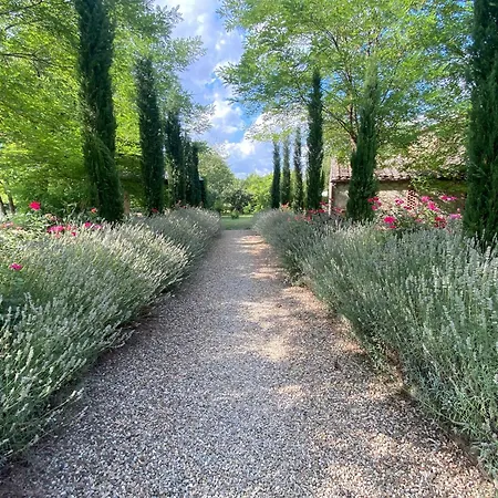 Mulino In Chianti Gaiole in Chianti