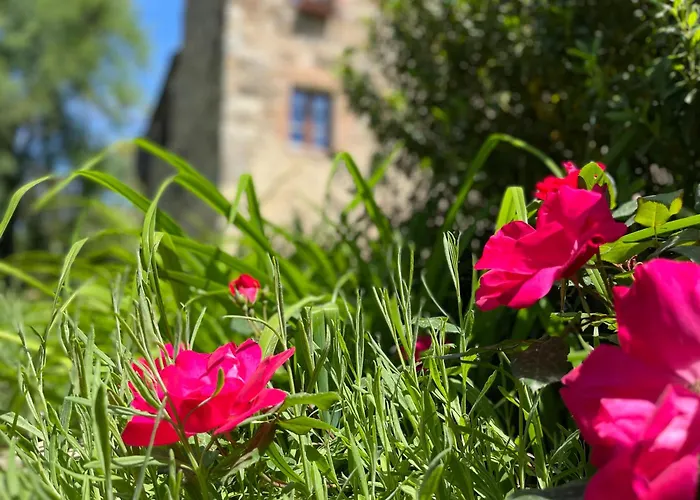 דירה Mulino In Chianti *