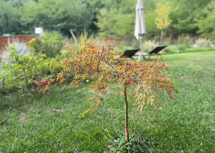 Mulino In Chianti דירה