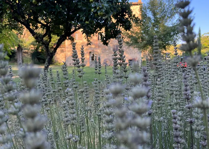 דירה Mulino In Chianti גאיולה אין קיאנטי